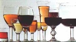 Rioja wines sample