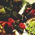 orchard produce