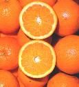 oranges