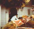 Ham from Jabugo
